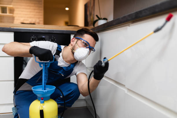 Best Pest Control Near Me in Celina, OH