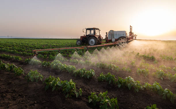 Best Pest Removal Services  in Celina, OH
