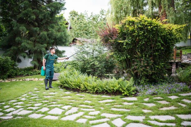Best Residential Pest Control  in Celina, OH